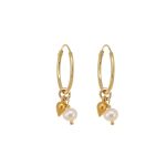 goud oorbellen 14k