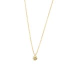 gouden ketting hangertje