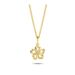 gouden ketting voor hanger