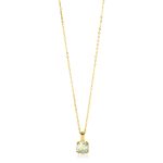 hangertje ketting goud
